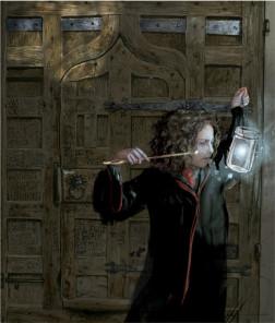 Harry Potter Illustrated Ill03