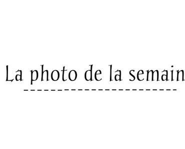 La photo de la semaine (2)