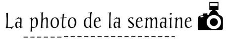 La photo de la semaine (3)