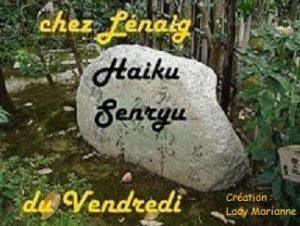 Haïkus 9 : champignons en tout genre