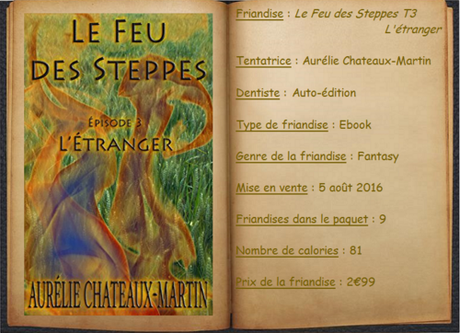 Le Feu des Steppes T3 - L’Étranger - Aurélie Chateaux-Martin