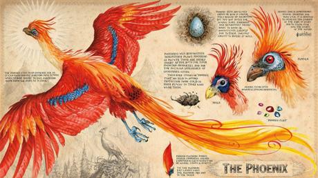 Phoenix_artwork_Harry_Potter_Chamber_of_Secrets.jpg