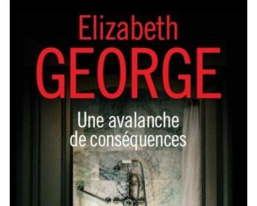 Une avalanche de conséquences d’Elizabeth George