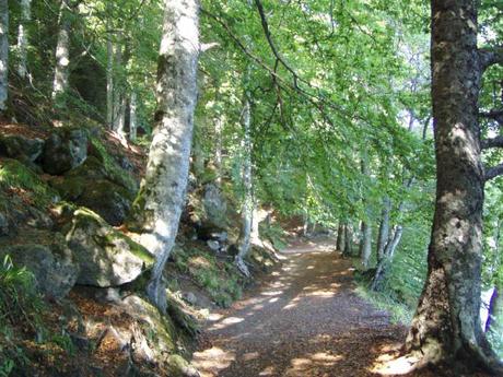 sentier lac pavin