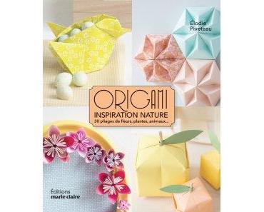 Origami Inspiration Nature