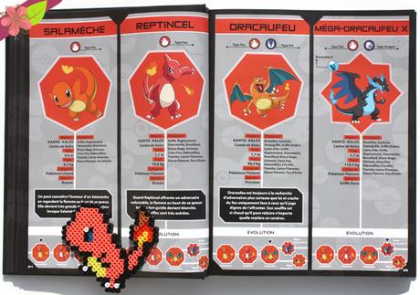 Pokédex - De kantos à Kalos - Hachette jeunesse