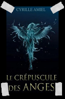 Affaire n°244: "Le crépuscule des anges" de Cyrille Amiel.