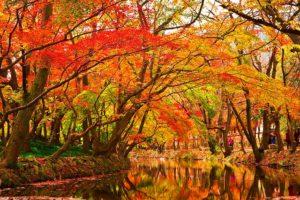 Haïkus 13 : ambiances et sensations d’automne