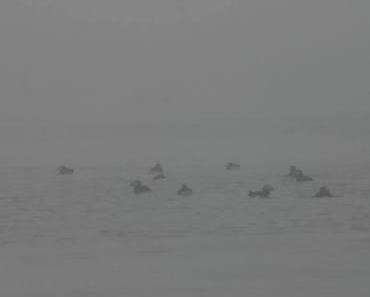 Le Calepin de Marc-André Lévesque…