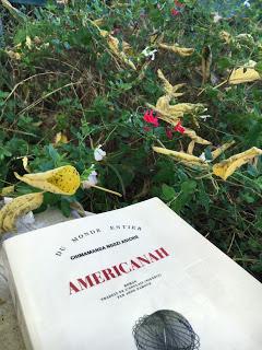 Americanah, Chimamanda Ngozi Adichie