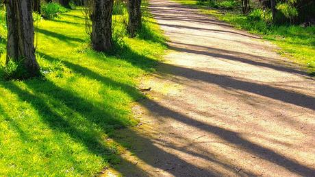 Défi mot chez la fée Capucine 9 : sur le chemin de vie