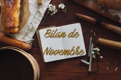 bilan-novembre-2016