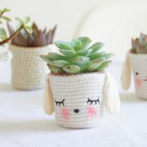 petits-cache-pots-pour-mini-plantes-grasses