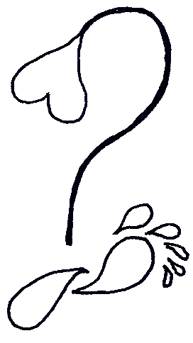 Défi 87 chez Evy : qui est-il devient qui es-tu ?