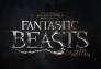 http://www.comingsoon.net/movies/trailers/781127-the-magical-first-clip-from-fantastic-beasts-and-where-to-find-them