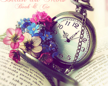 Bilan du Mois ~ Novembre 2016