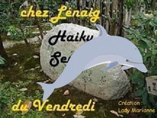 Haïkus 20 : une pensée pour le dauphin de légende