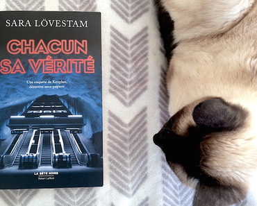 Chacun sa vérité · Sara Lövestam