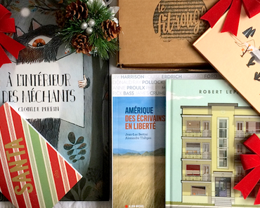 Des livres sous le sapin