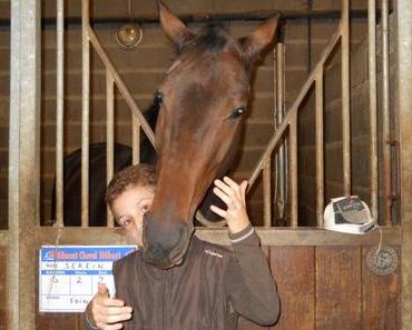 Défi mot chez la fée Capucine 12 : un peu de sérénité