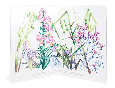 Mère Noël pense encore aux jeunes lecteurs