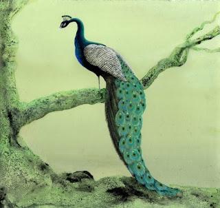 Au fond de la hotte, les albums pour 