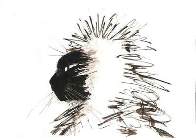 Vœux illustrés de bonne année 2017