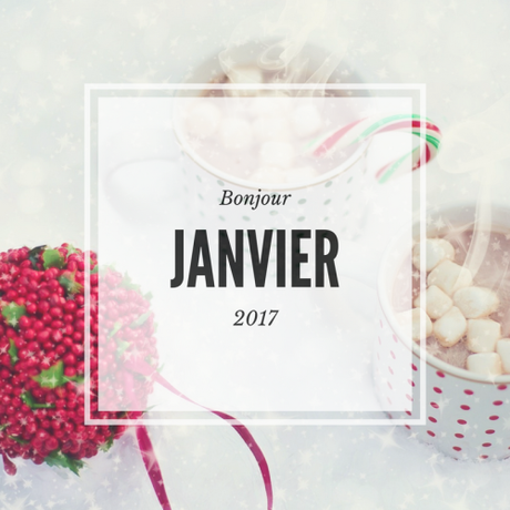 Bilan annuel et mensuel de décembre 2016