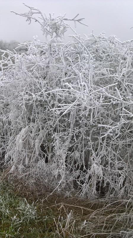 Atelier 22 : 1er effet Kiss Cool pour la nouvelle année