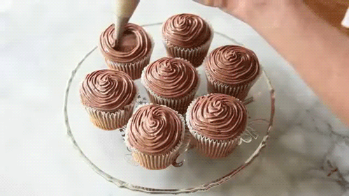 food chocolate cupcake cupcakes