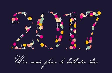 Une bonne année 2017 a tous !