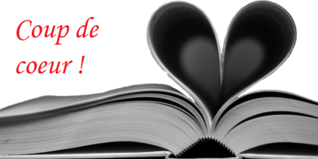 Virginie : Vos livres coups de coeur 2016, mes lectures de 2017