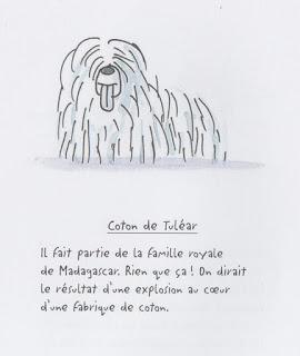 Reprise en douceur, avec des images Reprise en douceur, avec des images