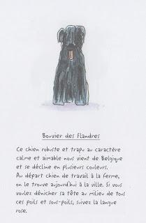 Reprise en douceur, avec des images Reprise en douceur, avec des images