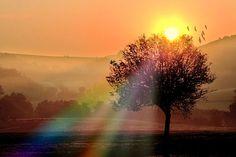 Lever de soleil sur la campagne