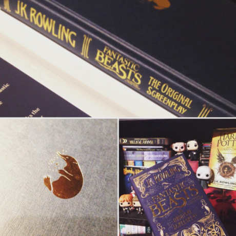 Fantastic Beasts and where to find them – 2×5 raisons de tomber amoureuse ! Fantastic Beasts and where to find them – 2×5 raisons de tomber amoureuse !