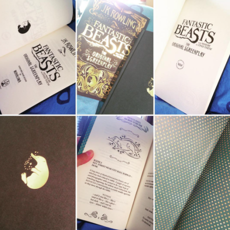 Fantastic Beasts and where to find them – 2×5 raisons de tomber amoureuse ! Fantastic Beasts and where to find them – 2×5 raisons de tomber amoureuse !