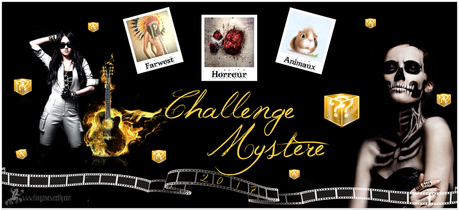 Challenge Mystère 2017