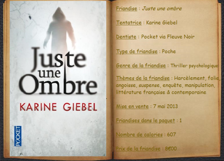 Juste une ombre - Karine Giebel