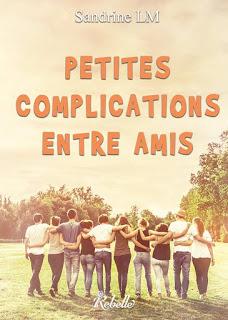 Petites complications entre amis - Sandrine LM