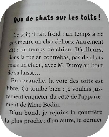 Hercule Chat Policier Un Voleur Sur Les Toits Editions Rageot