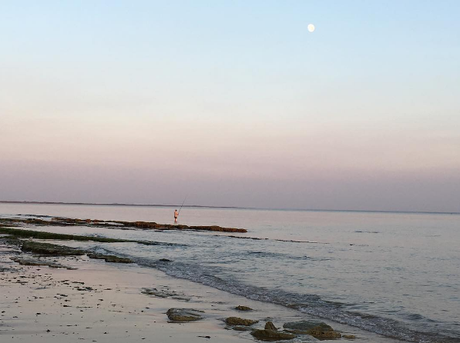 Je lis… donc je suis [Lectures 2016]