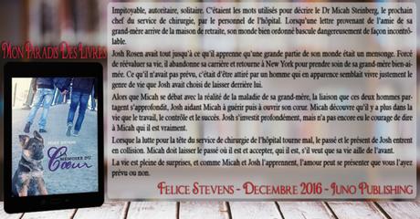 Memories #1 – La mémoire du cœur – Felice Stevens