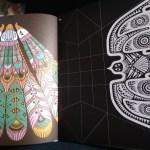 Emilie Bone / 100 oiseaux en papier à plier et à faire voler