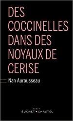 Des coccinelles dans des noyaux de cerise de Nan Aurousseau