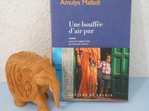 Une bouffée d’air pur – Amulya Malladi