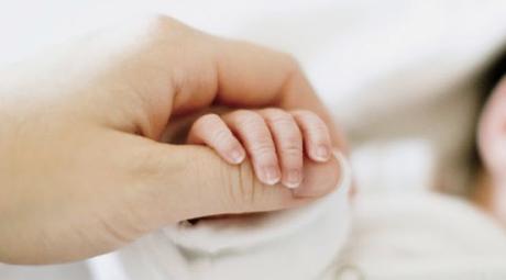 Sweetgirl · Travis Mulhauser