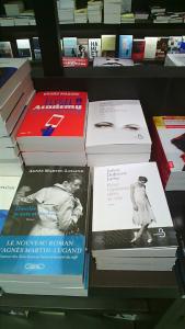 Les romans prévus en 2017 de mes auteurs favoris