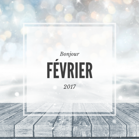 Bilan Janvier 2017