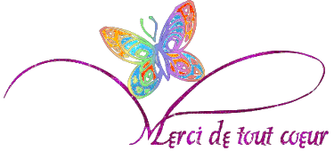 Afficher l'image d'origine